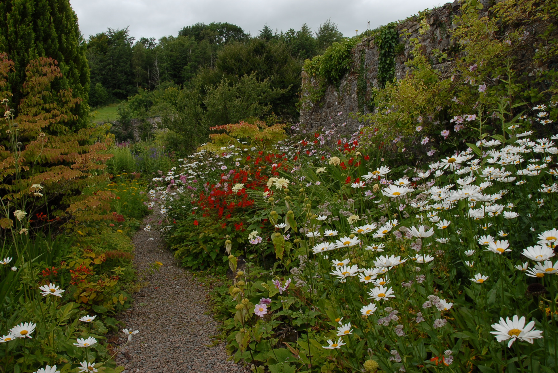 Donegal Garden Trail Salthill Garden Activities in Donegal Go