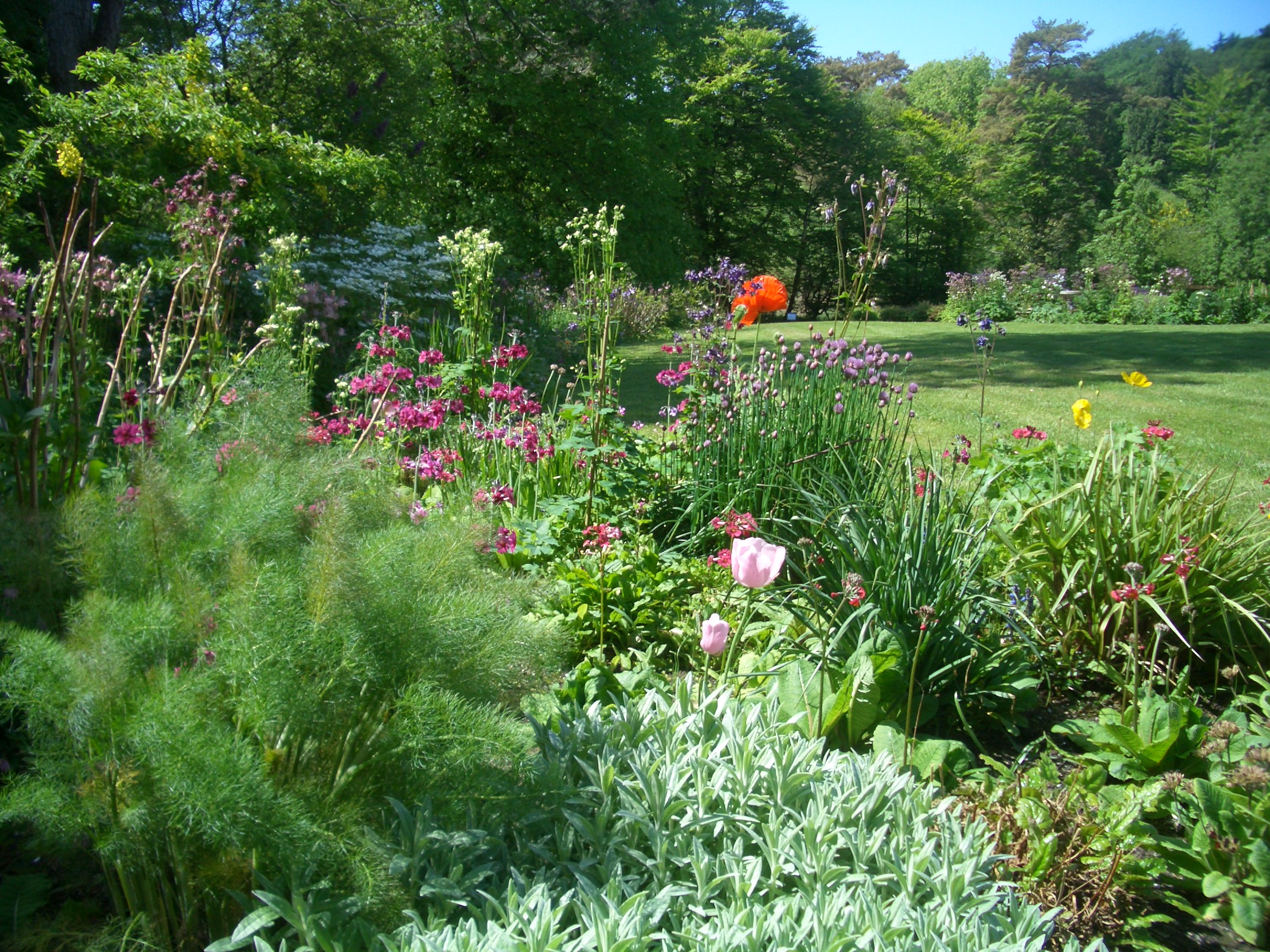 Donegal Garden Trail Lower Cranny Garden Activities in Donegal Go